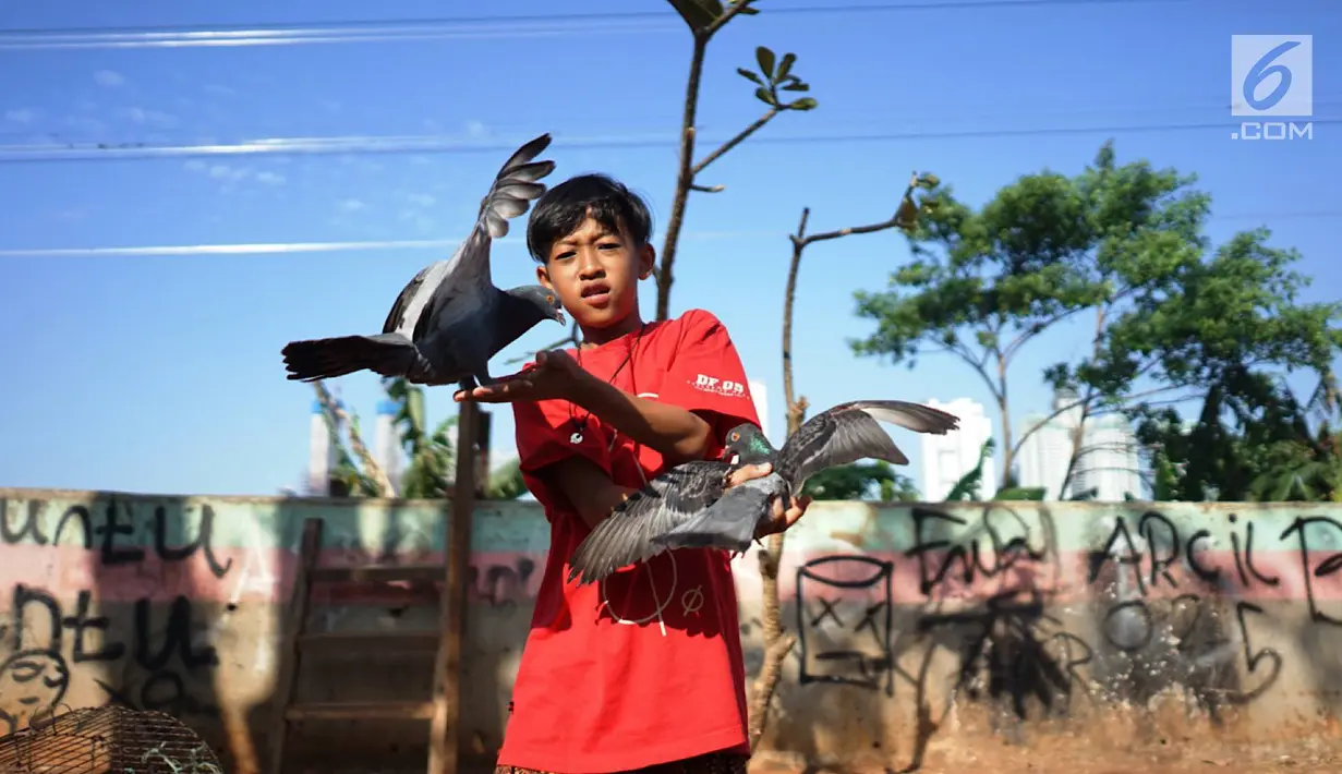 Seorang anak bermain dengan burung merpati di kawasan Tanah Abang, Jakarta, Selasa (23/7/2019). Pada peringatan Hari Anak Nasional yang jatuh 23 Juli, masih banyak anak-anak Indonesia yang belum dapat memiliki ruang bermain layak. (Liputan6.com/Immanuel Antonius)