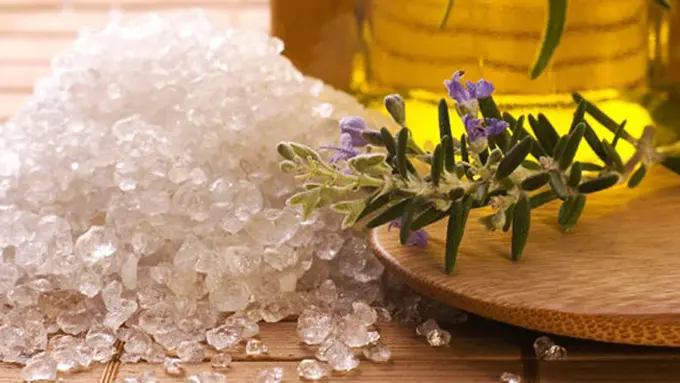 copyright by shutterstock.com