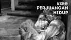 Kakek yang hidup sebatang kara tetap tegar menjalani hidup yang serba kekurangan. Begitupun dengan bocah yang harus membiayai dua adiknya
