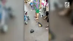 Beredar rekaman video, ada sebuah labu yang tumbuh di celah aspal jalan di China.