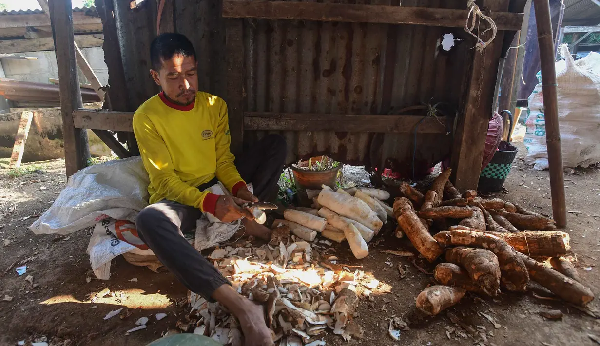 Pekerja mengolah singkong di sentra pengolahan bahan baku makanan ringan di Ciampea, Kabupaten Bogor, Jawa Barat, Minggu (26/7/2026).  (KLY/ Arie Basuki)