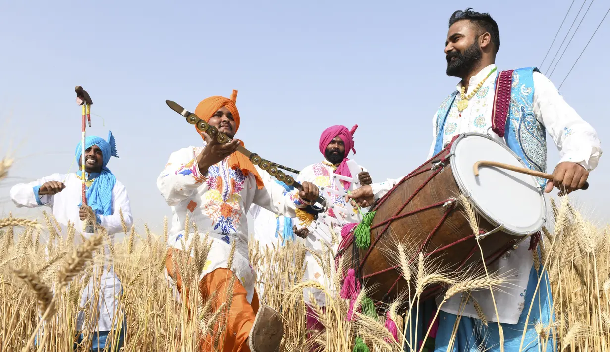 Pemuda Sikh menampilkan tarian tradisional rakyat Punjab atau Bhangra jelang festival panen Baisakhi di ladang gandum pinggiran Amritsar, India, 11 April 2021. Baisakhi adalah festival yang dirayakan di seluruh India utara, terutama di wilayah Punjab oleh komunitas Sikh. (NARINDER NANU/AFP)
