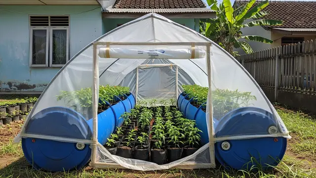Rumah Kaca Mini dari Drum Plastik Bekas