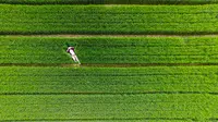 Foto-foto berikut merupakan foto-foto terbaik yang diambil dengan drone tahun 2015