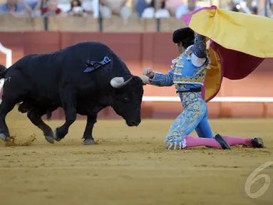 Pertarungan antara Matador dan banteng digelar di Maestranza, Sevilla, Senin (5/5/2014) (AFP Photo/Gogo Lobato).