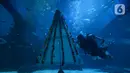 Penyelam melintasi pohon Natal yang terbuat dari bahan daur ulang di Jakarta Aquarium dan Safari, Sabtu (19/12/2020). Jakarta Aquarium dan Safari menghias pohon Natal dari bahan daur ulang mulai 20-27 Desember 2020 untuk memperingati perayaan Natal. (merdeka.com/Imam Buhori)