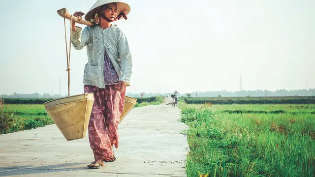 Ilustrasi Vietnam. Photo by Hưng Nguyễn Việt on Unsplash