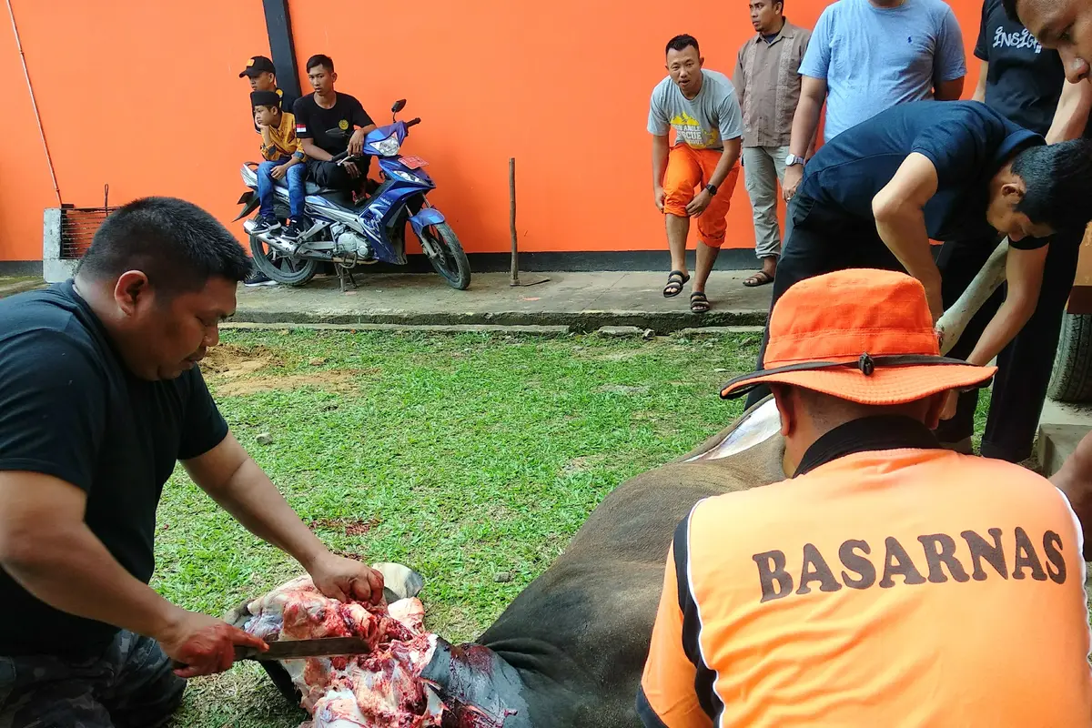 Kepala Kantor SAR Kendari hanya dalam hitungan menit memyembelih dan bagikan hewan kurban kepada warga.(Liputan6.com/Ahmad Akbar Fua)