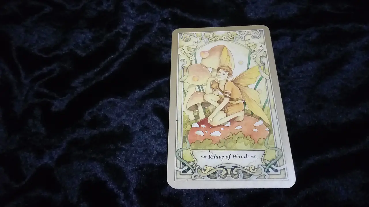 Tarot Hari Ini