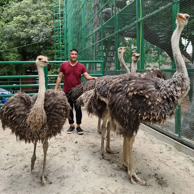 6 Seleb Ini Pelihara Binatang yang Tak Biasa, Unik hingga Ekstrem Abis