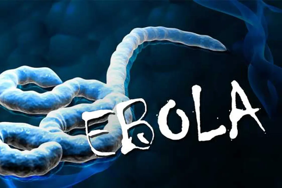 Ilustrasi Virus Ebola