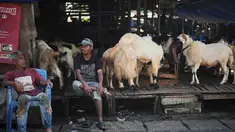 Para pedagang kambing menunggu pelanggan menjelang Hari Raya Idul Adha 1447 Hijriah di Jakarta, Selasa 26 Mei 2026. (AP Photo/Dita Alangkara)