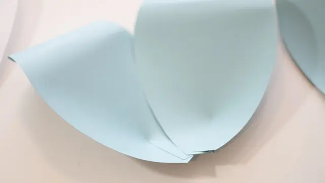 Bentuk dan rangkai kelopak
