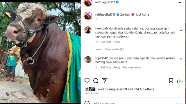 Sapi Raffi Ahmad