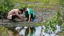 Dua siswa salah satu Sekolah Menengah Atas (SMA) di Banda Aceh, mengikuti kegiatan menanam bibit mangrove, pada 25 Oktober 2025. (CHAIDEER MAHYUDDIN/AFP)