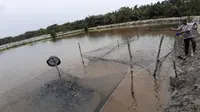 Program Desa Makmur, Cara Agar Warga Riau Tak Bergantung ke Sawit