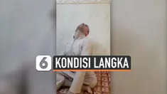 Seorang pria Irak didiagnosa alami dystonia, kondisi dimana tubuhnya menjadi kejang tak terkendali. Kini ia pulih setelah menjalani operasi selama 10 jam di India.
