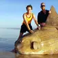 Seekor ikan matahari (Mola mola) berukuran raksasa ditemukan mati terdampar di bibir sungai Murray, Australia Selatan pada 16 Maret 2019. Penemuan ikan raksasa dengan bentuk aneh tersebut menjadi viral. (Handout/Courtesy of Linette Grzelak / AFP)