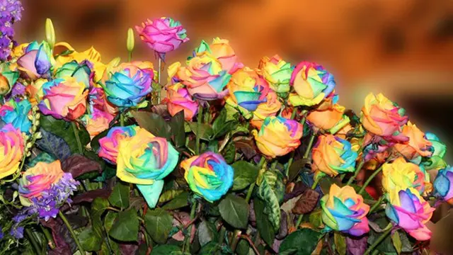 Foto: copyright highresolution-wallpapers.net