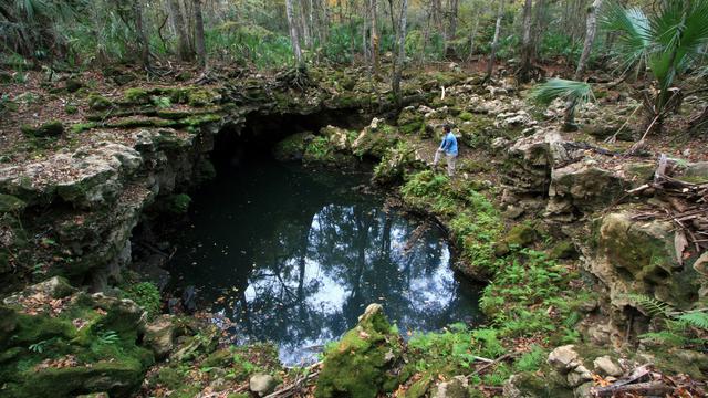 Lubang Dalam di Sungai Aucilla