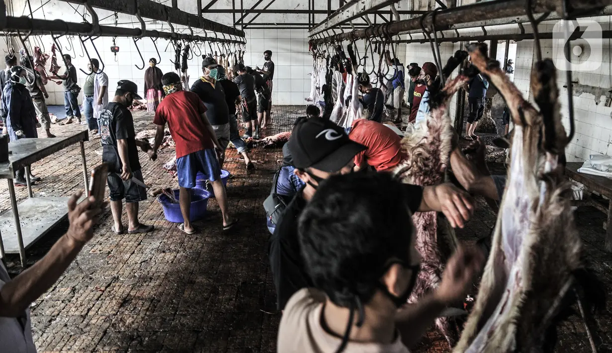 Petugas menguliti hewan kurban Idul Adha di RPH Pulogadung, Jakarta, Jumat (31/7/2020). RPH Pulogadung menyembelih 50 sapi dan puluhan kambing dengan proses pemotongan sesuai syariat Islam dan protokol kesehatan guna mencegah penyebaran COVID-19. (merdeka.com/Iqbal S. Nugroho)