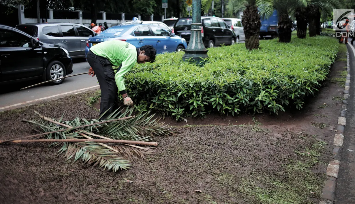 Petugas pertamanan membersihkan tanaman dan rumput yang rusak usai unjuk rasa massa Partai Hanura di depan Gedung KPU, Jakarta, Senin (21/1). Tanaman dan rumput di sekitar Gedung KPU rusak akibat terinjak-injak pengunjuk rasa. (Liputan6.com/Faizal Fanani)