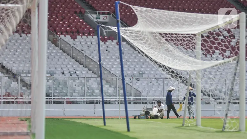 Perawatan Lapangan Stadion GBK Jelang Piala Dunia U20