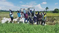 Sejumlah kelompok tani di Kabupaten Nabire, Provinsi Papua melakukan panen padi. (dok. Kementan)
