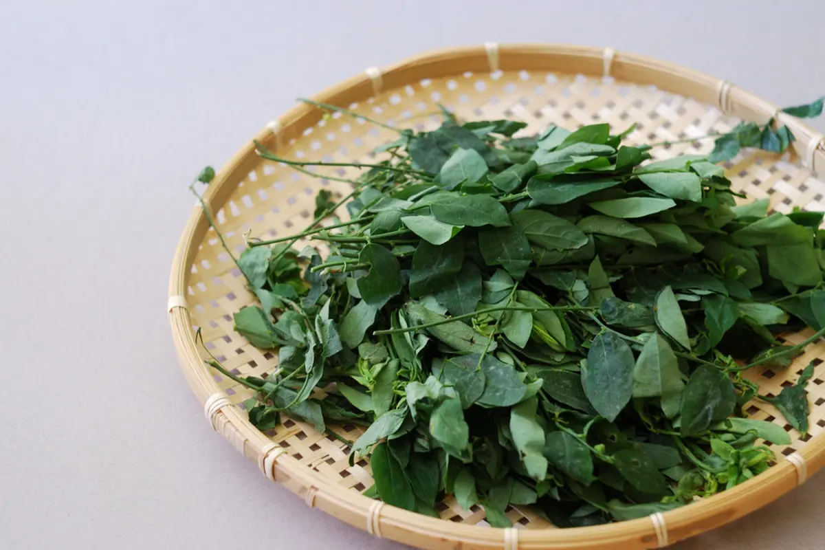 Resep