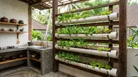7 Ide Kebun Sayur Vertikal dari Paralon Bekas di Dapur Terbuka, Hemat Tempat dan Mudah Dibuat