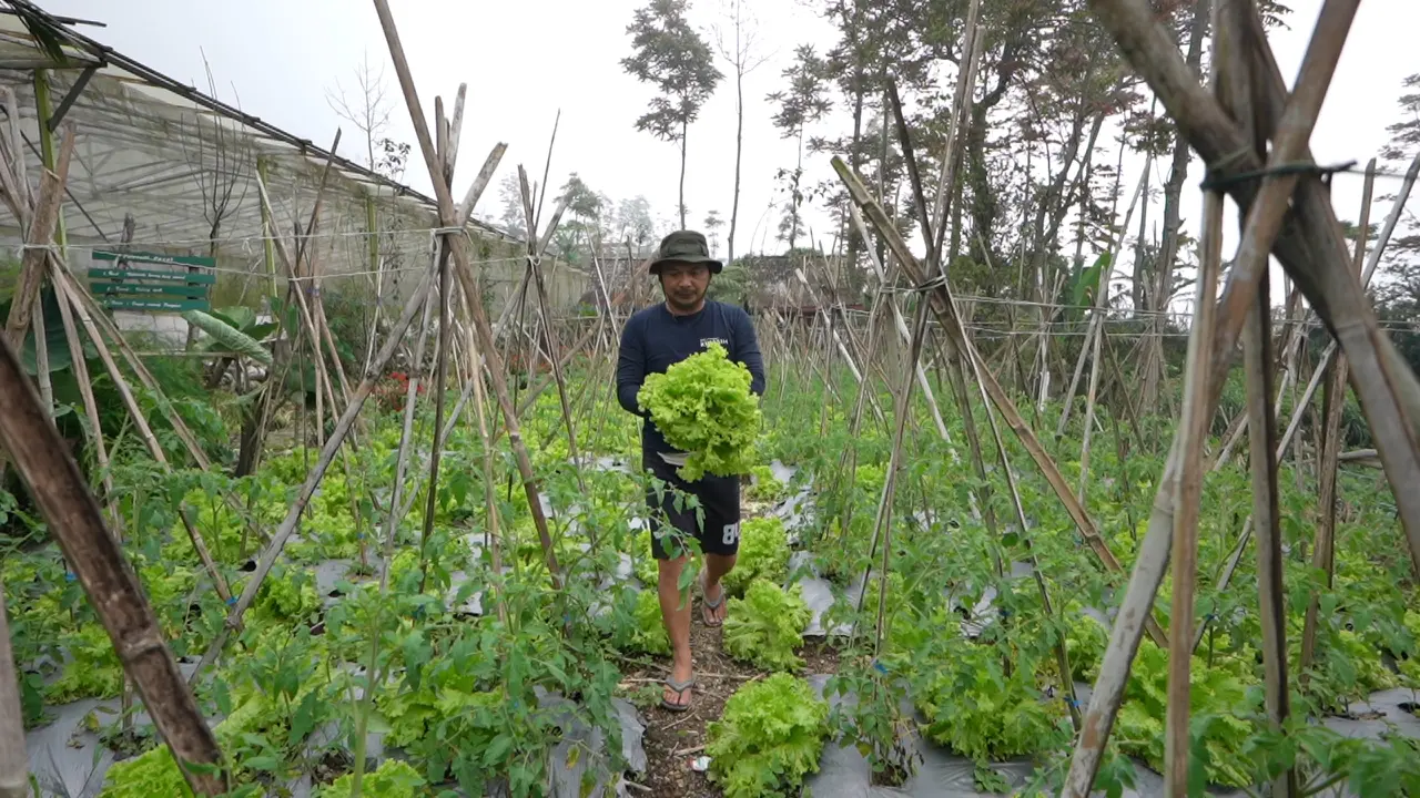 Kebun di Dukuh Pasah, Desa Senden, Kecamatan Selo, Boyolali.