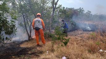 Hutan Jati Perhutani di Situbondo Dilalap Si jago Merah, Sengaja Dibakar?