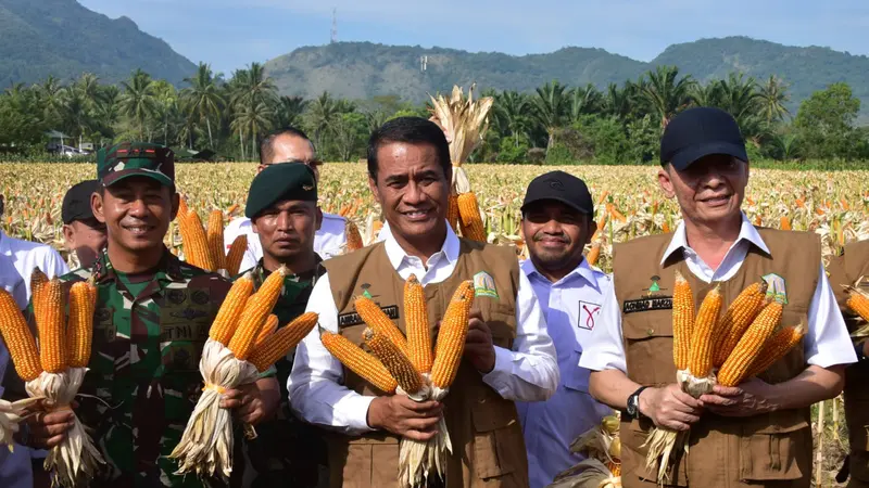 Kementan Gandeng TNI Percepat Swasembada, Mentan Amran Panen dan Tanam Jagung di Aceh