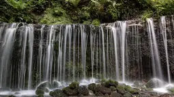 Air Terjun di prefektur Nagano ini merupakan salah satu Air Terjun Shiraito yang paling terkenal. Air terjun ini hanya berketinggian 3 meter, namun memiliki lebar lebih dari 70 meter. (AFP/Richard A. Brooks)