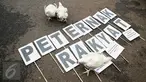 Sejumlah ayam ternak dibawa saat melakukan aksi unjuk rasa di depan Istana Merdeka, Jakarta, (1/3). Dalam aksinya mereka membawa 1 truk ternak ayam untuk menyampaikan rasa kecewa terhadap turunnya Harga Pokok Produksi (HPP). (Liputan6.com/Faizal Fanani) 