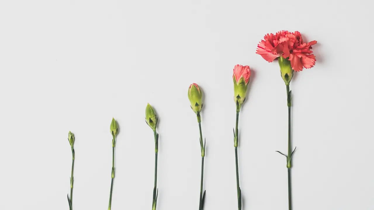 Ilustrasi perubahan
