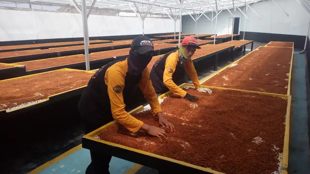 Para  santri tengah mengeringkan gula aren di dapur produksi Gentong Mas