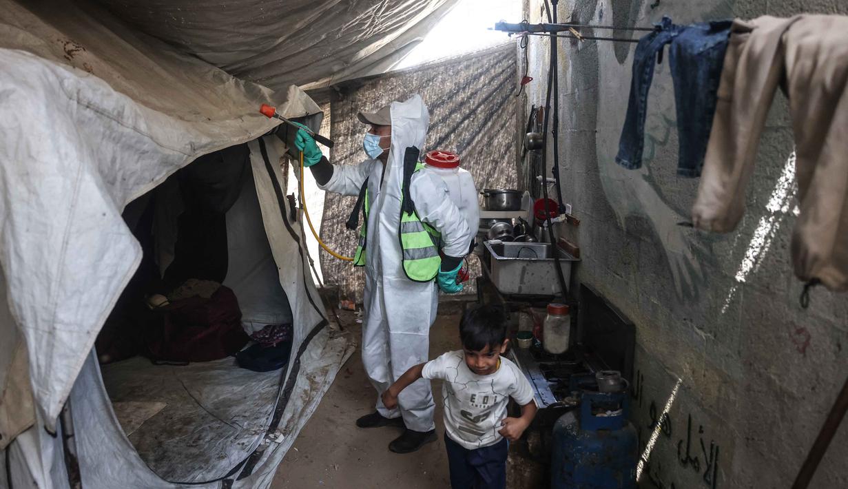 Hewan-hewan tersebut merusak tenda, perlengkapan pengungsi, serta makanan yang ada. Situasi tersebut meningkatkan risiko kelaparan dan penyakit menular. Tampak dalam foto, seorang pengungsi Palestina menyemprotkan cairan disinfektan pada jalan setapak dan tenda-tenda untuk membasmi serangga dan hewan pengerat di kamp pengungsian Khan Yunis, Jalur Gaza Selatan pada Rabu 22 April 2026. (Bashar Taleb/AFP)