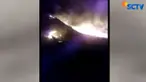Kebakaran hutan ini diperparah dengan banyaknya rumput dan ilalang yang mengering sehingga mudah terbakar.