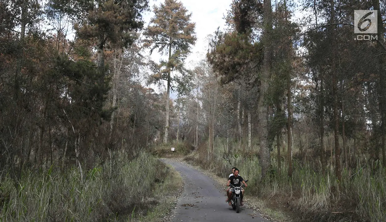 Pengendara motor melintasi kebun yang kering di Desa Besakih, Karangasem, Bali, Jumat (8/12). Erupsi Gunung Agung yang memuntahkan abu vulkanik menyebabkan kawasan Besakih yang sebelumnya hijau menjadi gersang. (Liputan6.com/Immanuel Antonius)