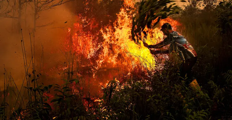 Seorang pria menggunakan ranting pohon untuk berupaya memadamkan kebakaran lahan gambut di Palangkaraya, Kalimantan Tengah, Kamis (22/10/2026). (REINA/AFP)