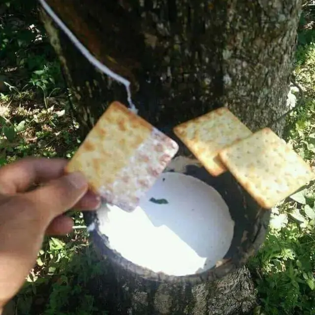 6 Potret Roti Susu Nyeleneh Ini Bikin Tepuk Jidat, Selera Makan Jadi Hilang