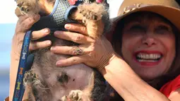 Darlene Wright mengangkat Scamp the Tramp setelah dinobatkan sebagai pemenang kontes World's Ugliest Dog di Petaluma, California, AS pada 21 Juni 2019. Acara ini sudah diadakan sejak tahun 1970an dan sudah menjadi acara rutin para pecinta anjing yang digelar setiap tahun. (JOSH EDELSON/AFP)