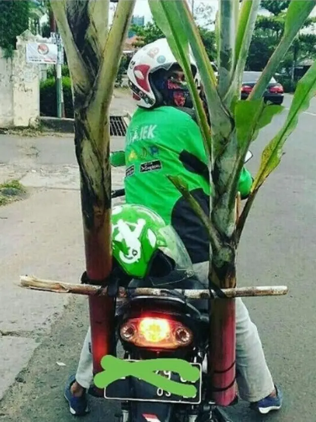 orderan aneh ojek online (foto: Instagram/@gojekupdate_pekanbaru)