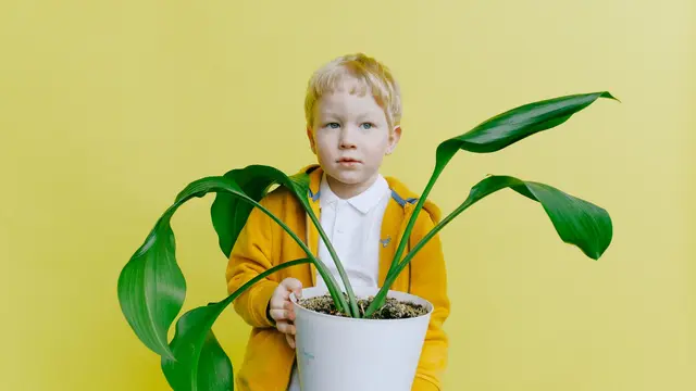 Menunjukkan Senyuman Palsu