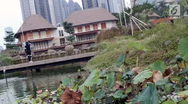 Kondisi pohon bunga yang ada di kolam Hutan Kota GBK, Jakarta, Selasa (2/7/2019). Kurangnya perawatan berakibat rusaknya beberapa tanaman yang ada di area Hutan Kota GBK. (Liputan6.com/Helmi Fithriansyah)