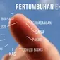 Ilustrasi pertumbuhan Ekonomi (Liputan6.com/Johan Fatzry)