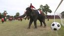 Sejumlah gajah bermain sepak bola dengan badan dilukis bendera peserta Piala Dunia 2018 di Ayutthaya, Selasa (12/6/2018). Kegiatan yang dilakukan Sekolah Ayutthaya Wittayalai ini dilakukan untuk memeriahkan Piala Dunia. (AP/Sakchai Lalit)