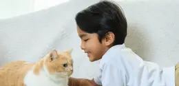 Penasaran apa saja yang perlu diketahui saat bepergian dengan anabul? Simak selengkapnya berikut ini.