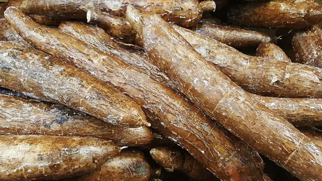 cara membuat keripik singkong